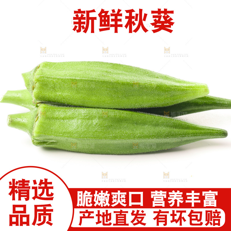 白底上的新鲜秋葵