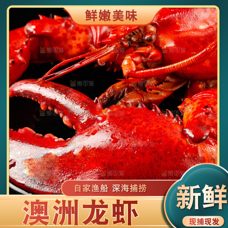 黑底上放着波士顿龙虾