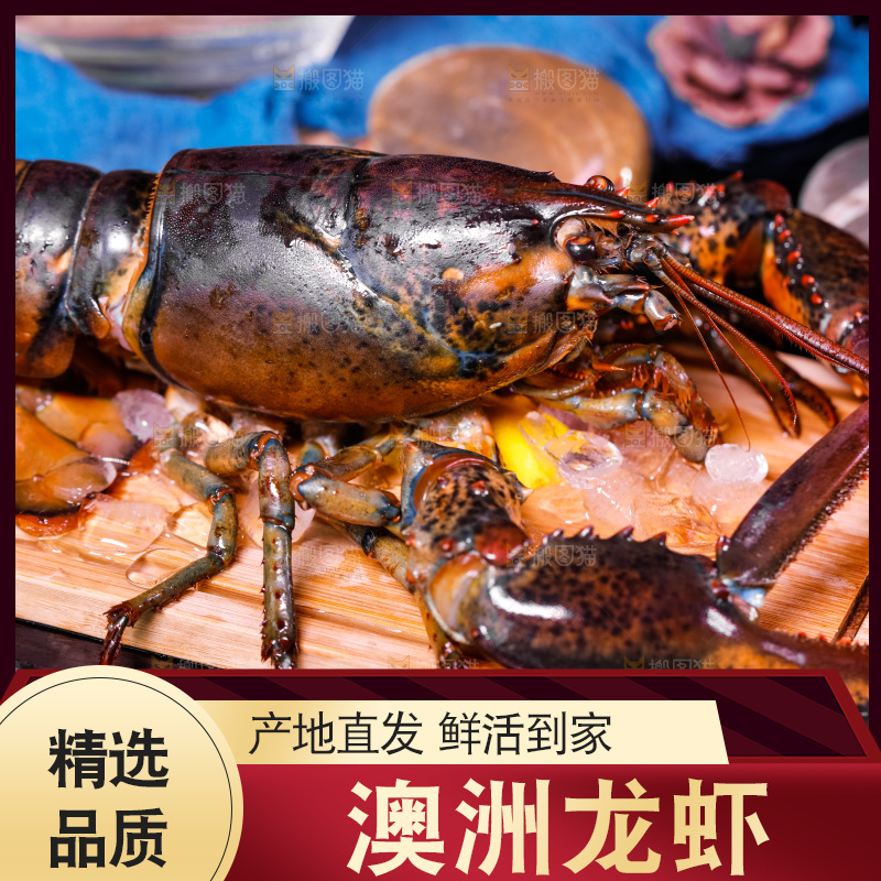 深底上放着澳洲龙虾