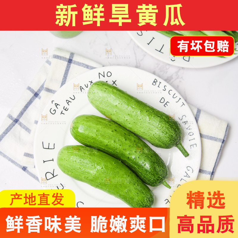 盘子里的旱黄瓜