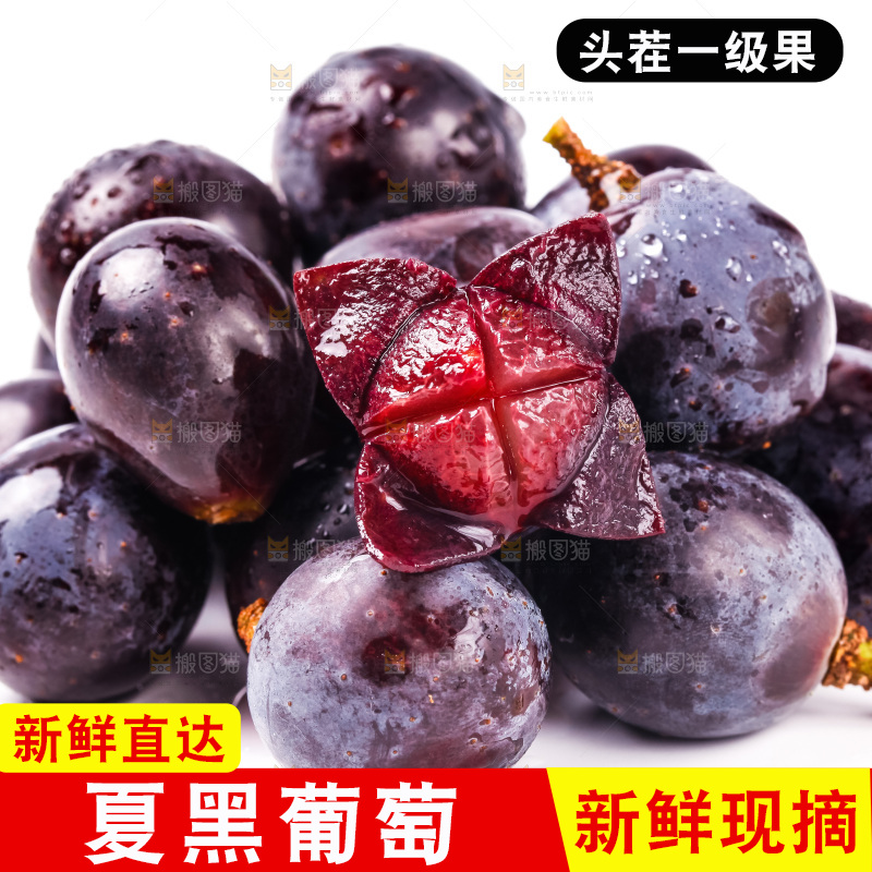 云南夏黑葡萄放在白底上