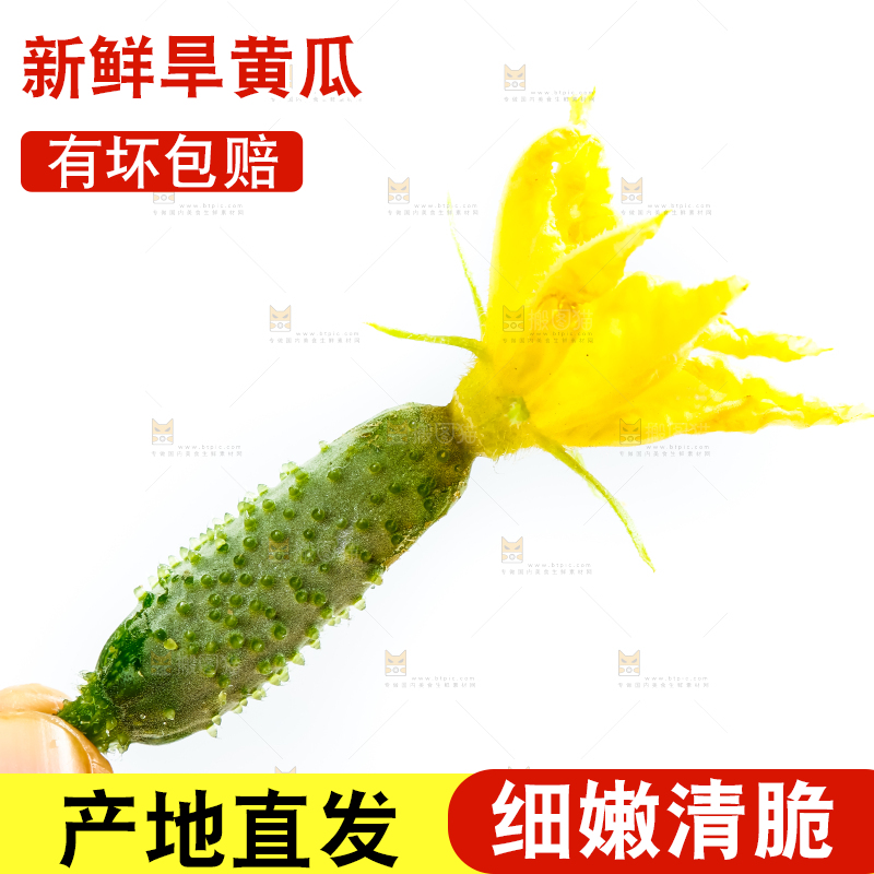 白底上的小黄瓜