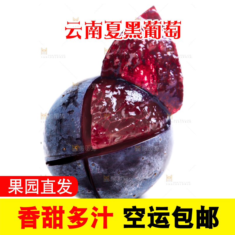 云南夏黑葡萄放在白底上