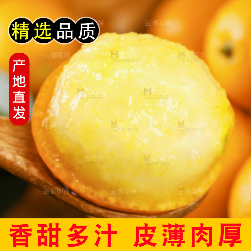黑底上的小金桔