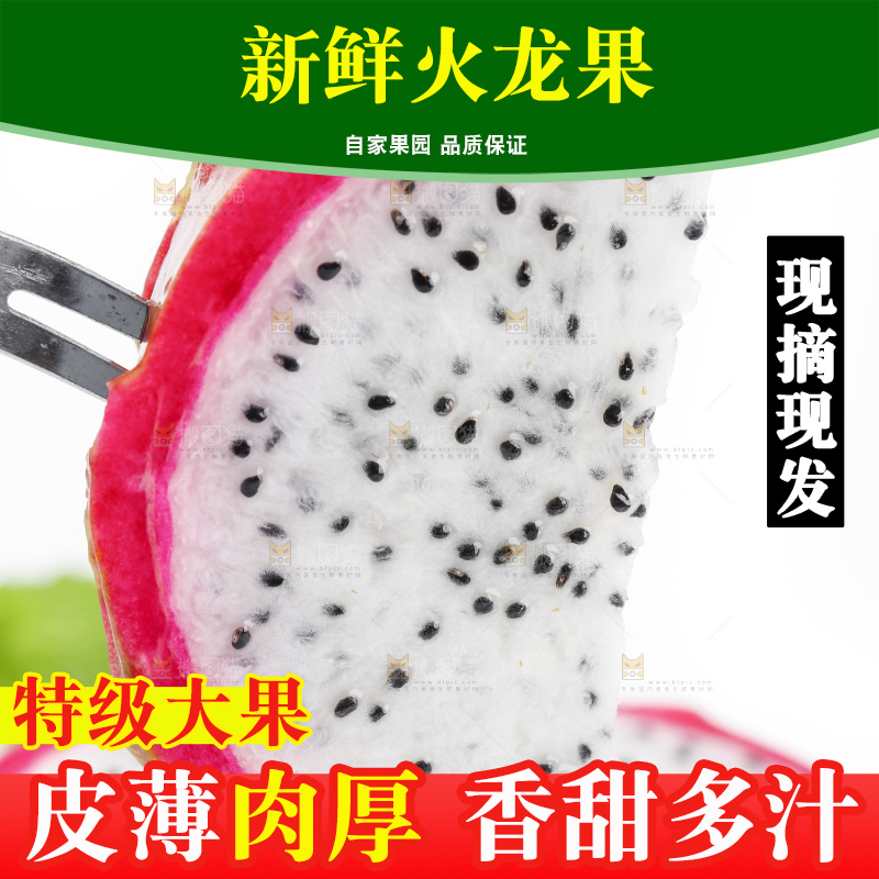 白底上的越南白心火龙果