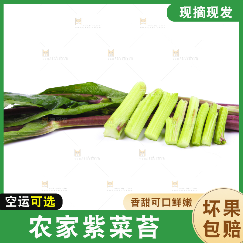 白底上放着紫菜苔