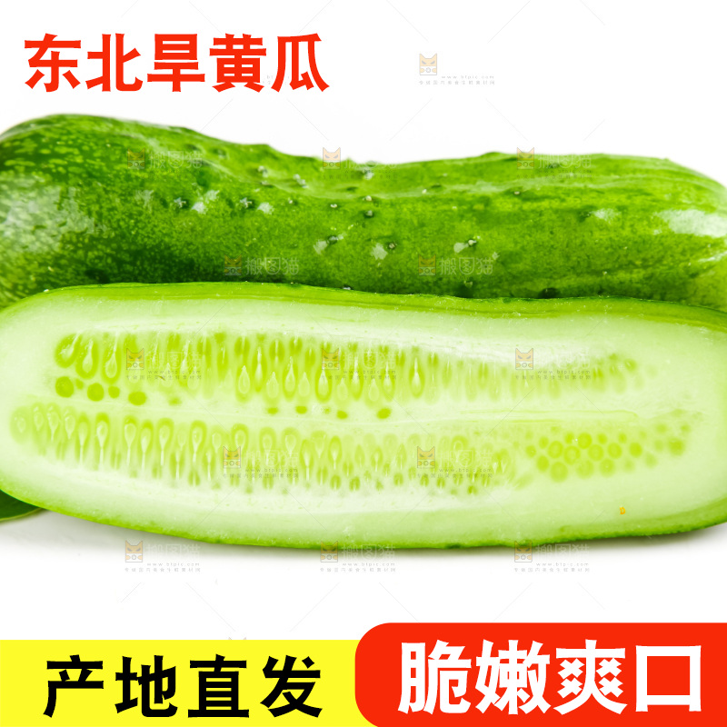 白底上的旱黄瓜
