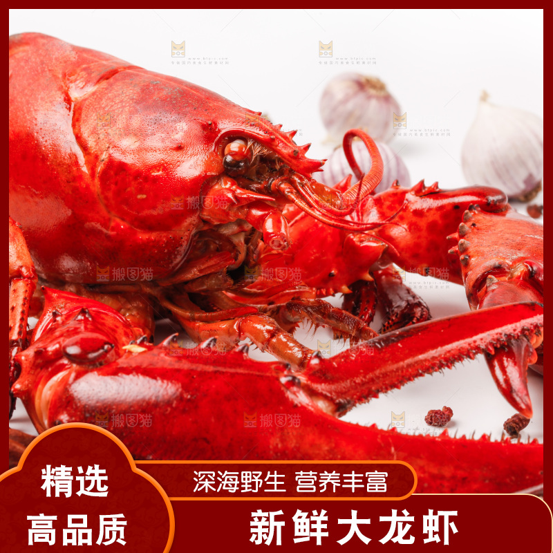 白底上放着波士顿大龙虾