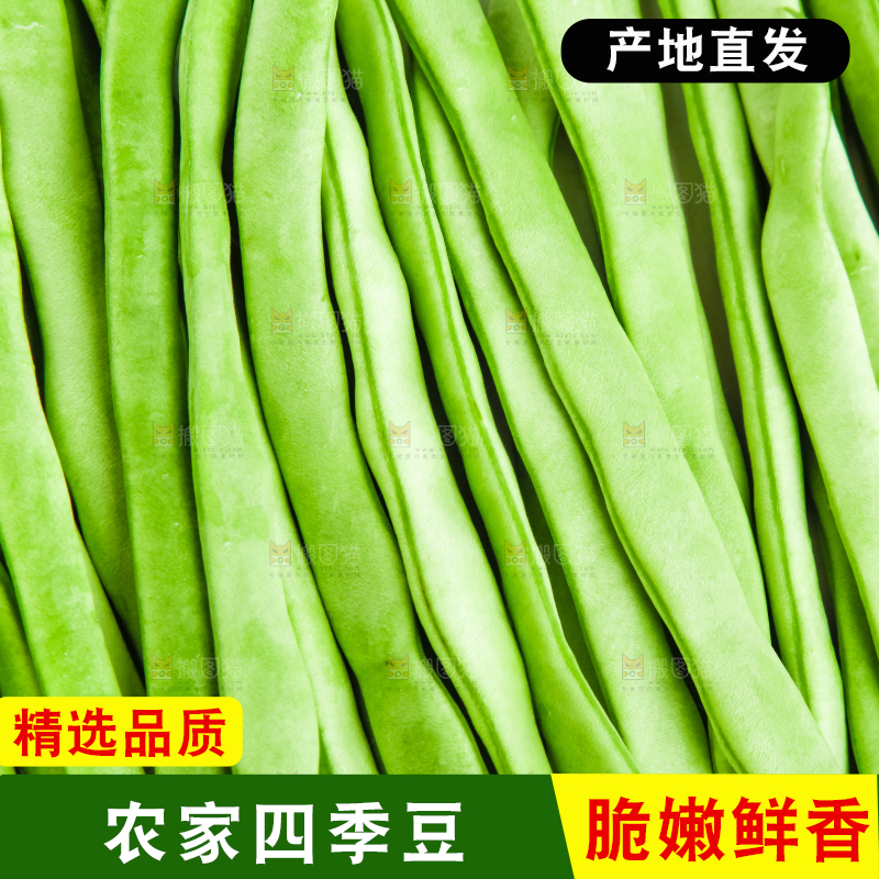 白底上放着新鲜四季豆