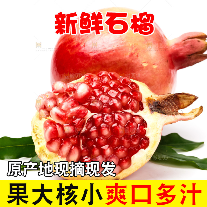 白底上放着软籽石榴