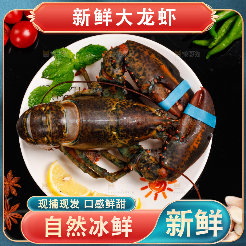 黑底上的波士顿龙虾