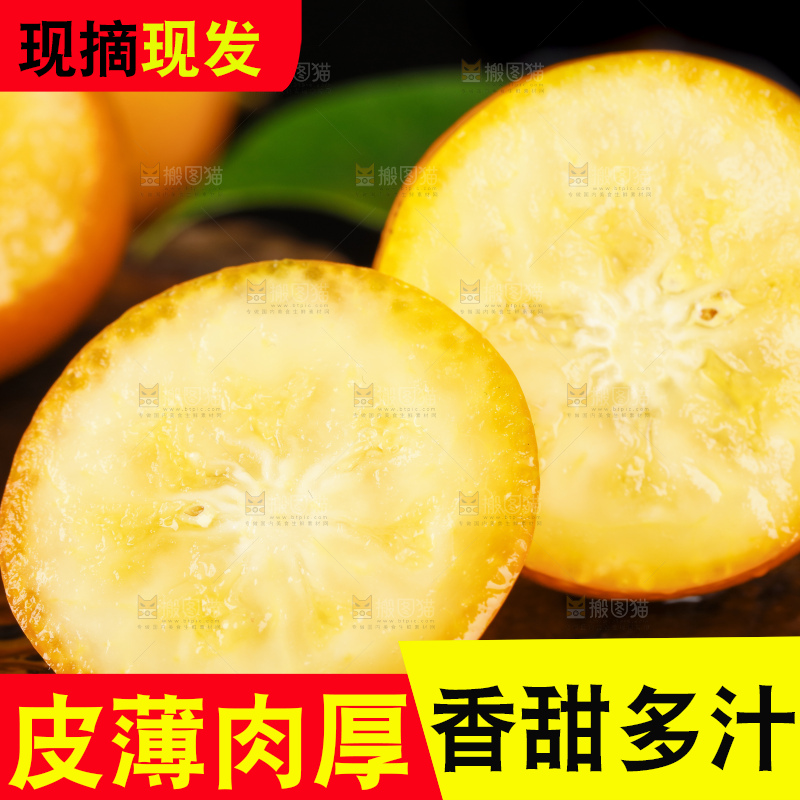 黑底上的小金桔