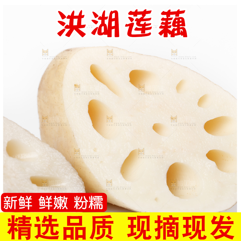 白底上一堆湖北洪湖莲藕