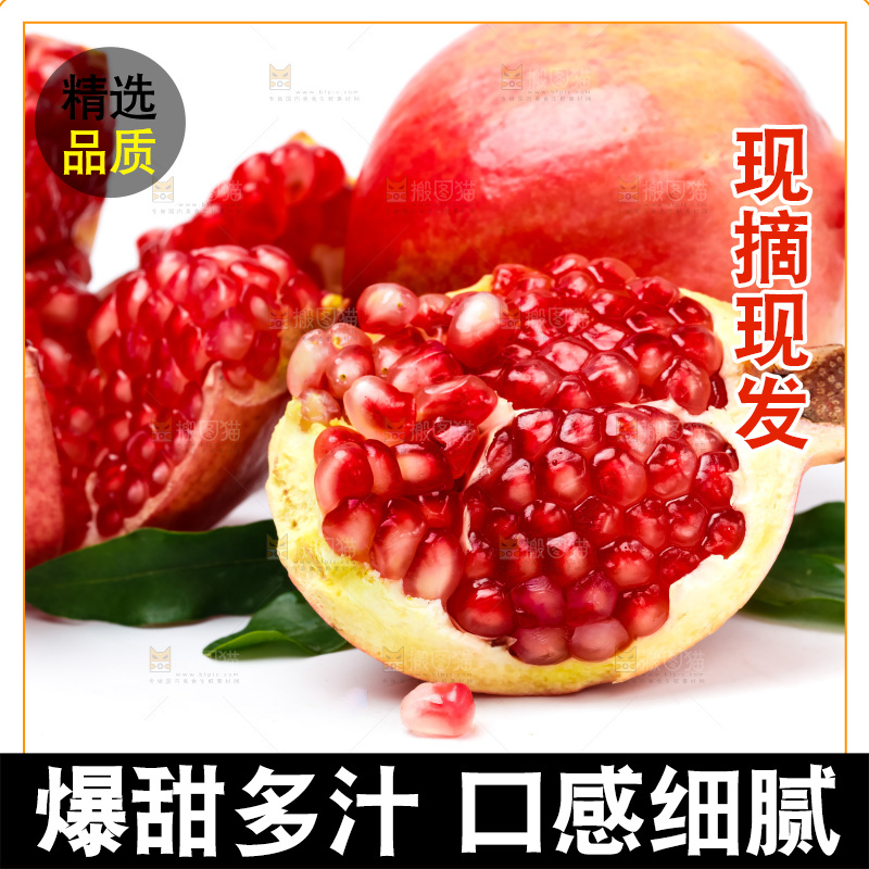 白底上放着软籽石榴