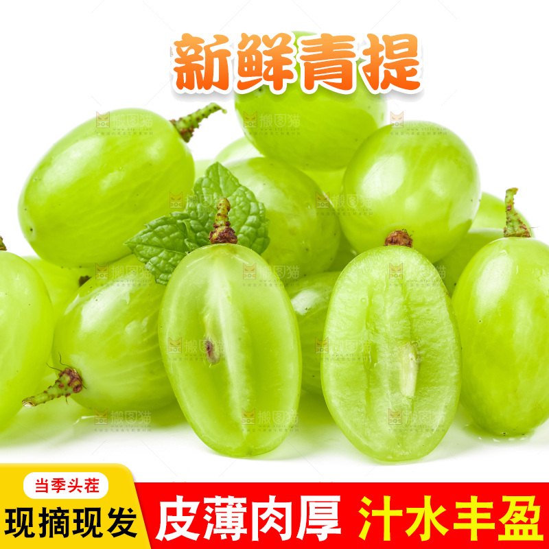白底上放着维多利亚青提