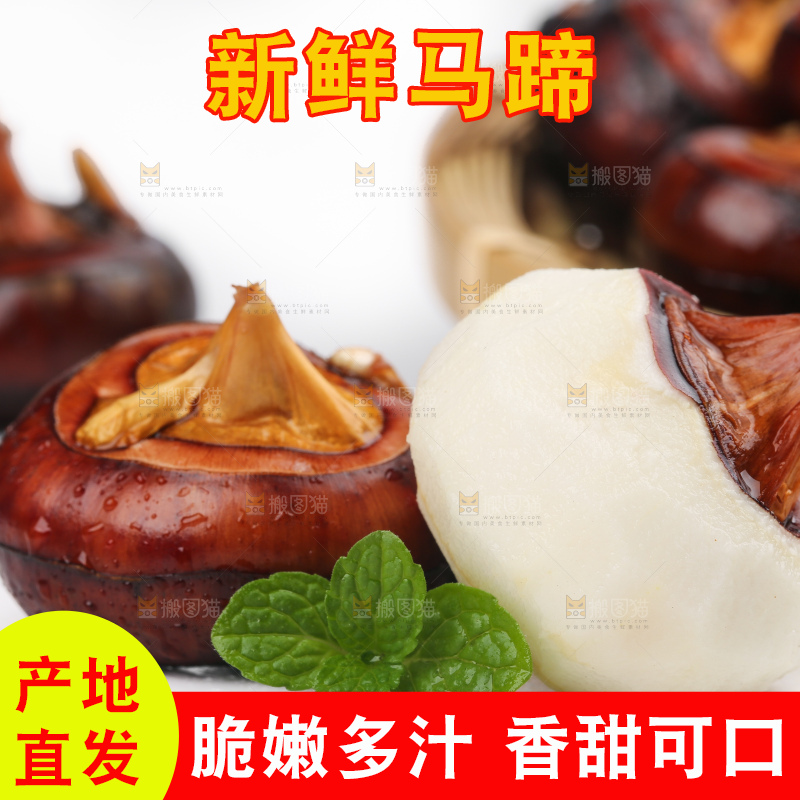 白底上放着马蹄