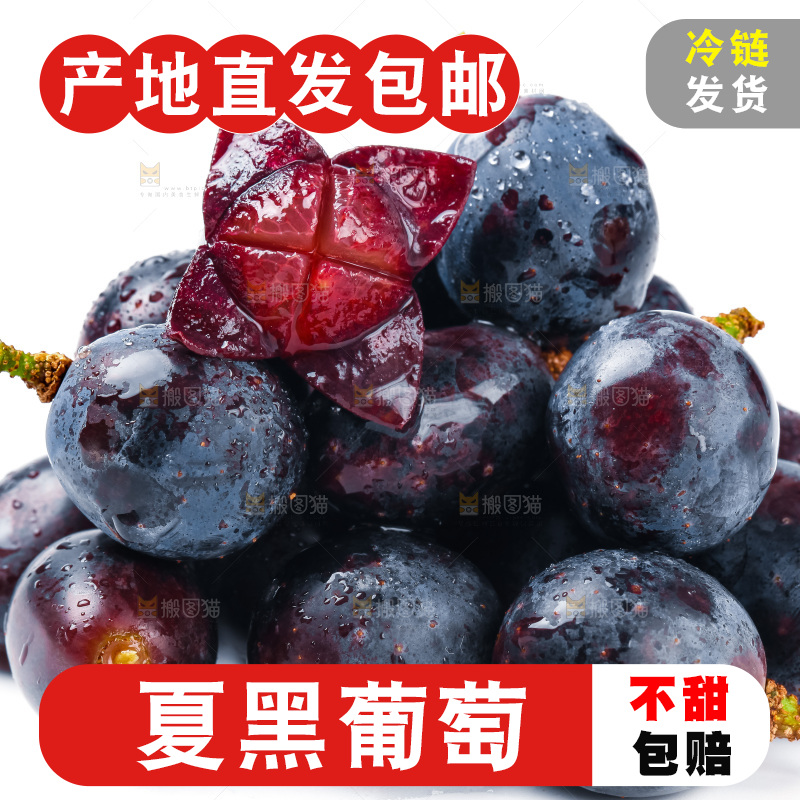 云南夏黑葡萄放在白底上