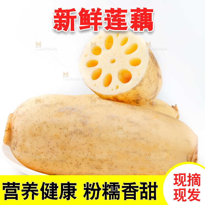 白底上的白莲藕