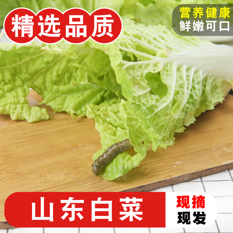 木板上的新鲜白菜
