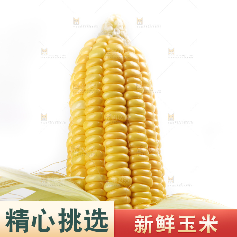 白底上放着黄玉米
