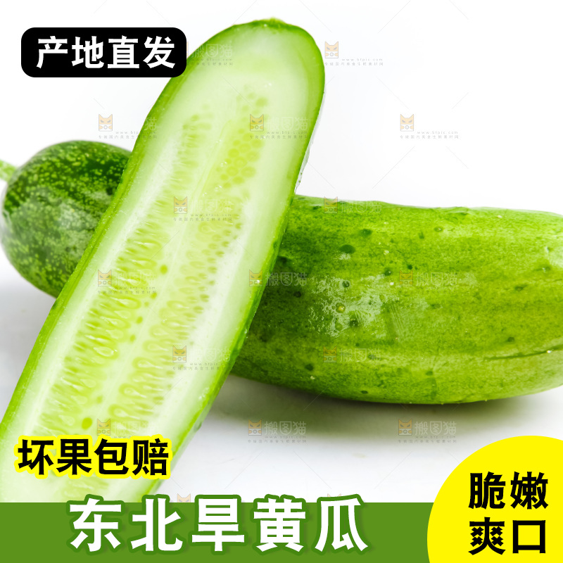 白底上的旱黄瓜