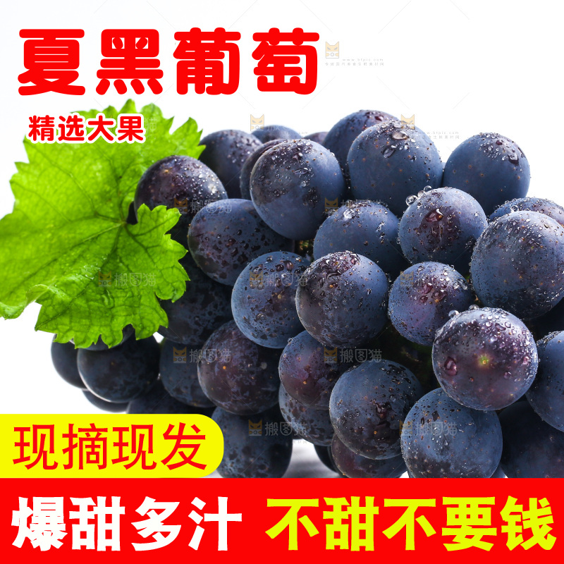 白底上的夏黑葡萄