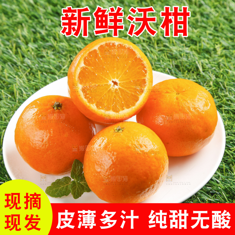 草地上放着贵妃柑