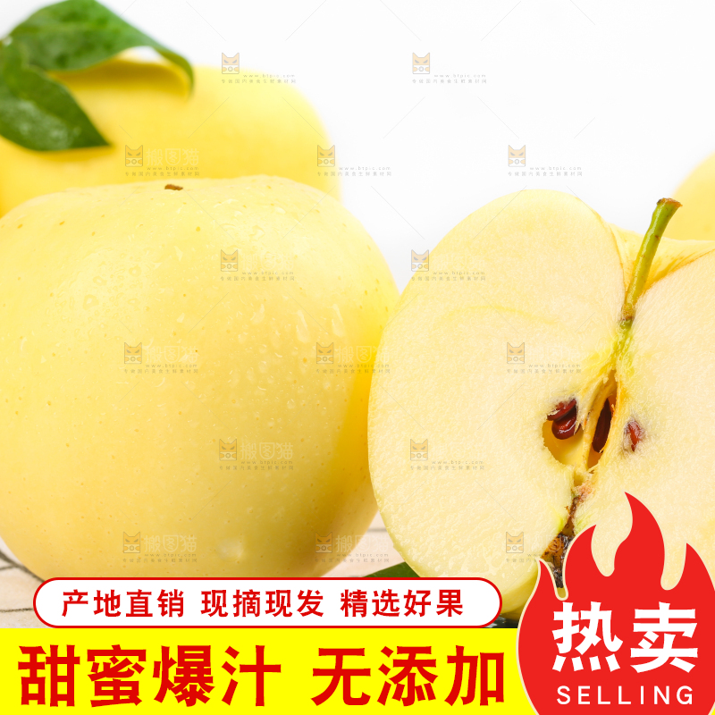 白格子底上的黄金帅