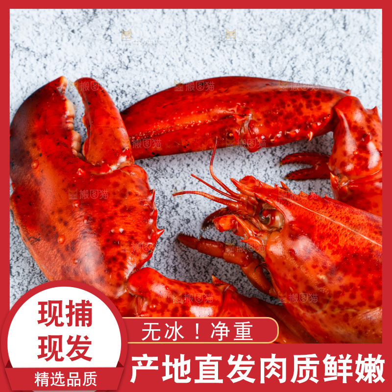 石板上的波士顿大龙虾