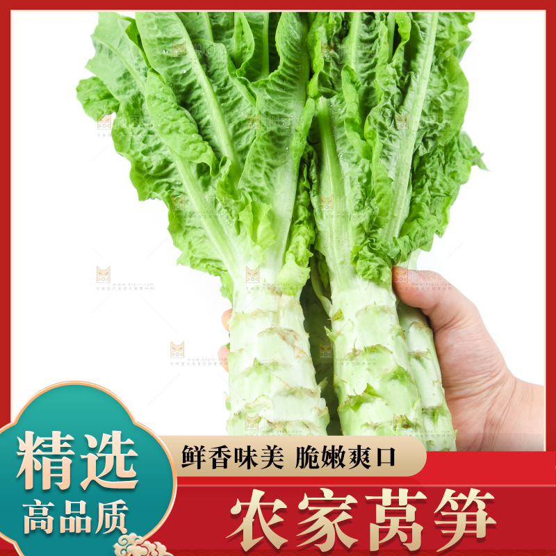 白底上的莴笋