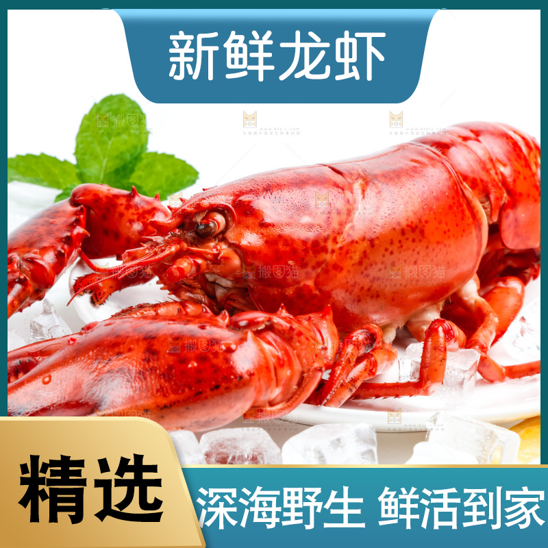 白底上放着大龙虾