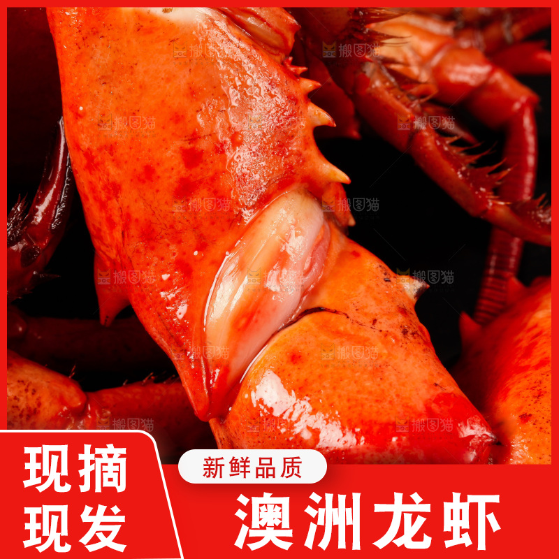 黑底上放着波士顿龙虾