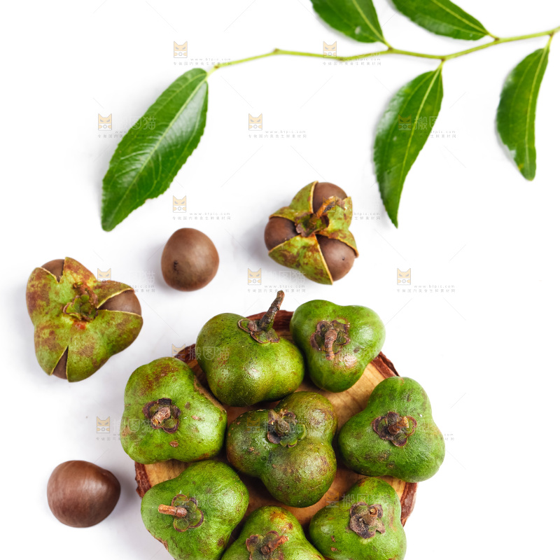 白底上放着茶树果
