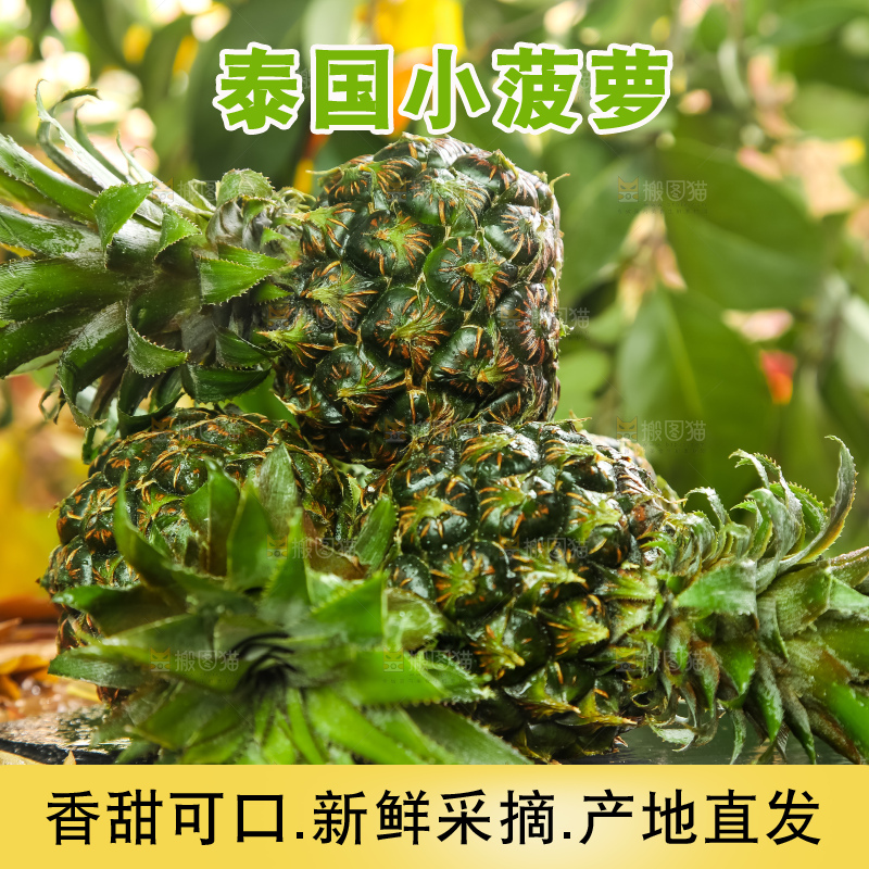 黑石板上的新鲜小菠萝
