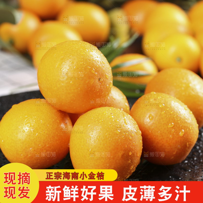 黑石板上的广西金钱橘