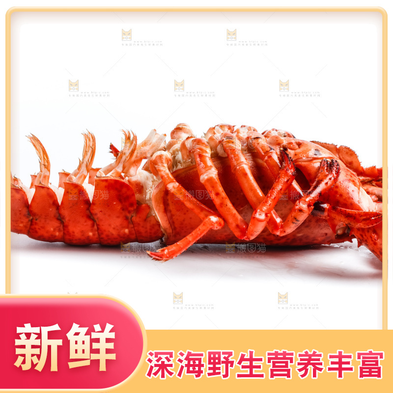 白底上的大龙虾