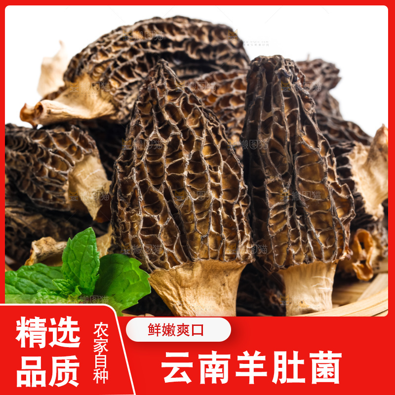 干羊肚菌放在浅底上