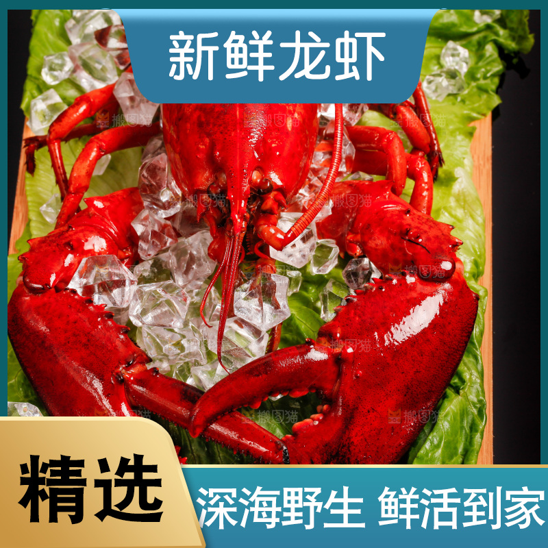 黑底上放着一盘澳洲大龙虾