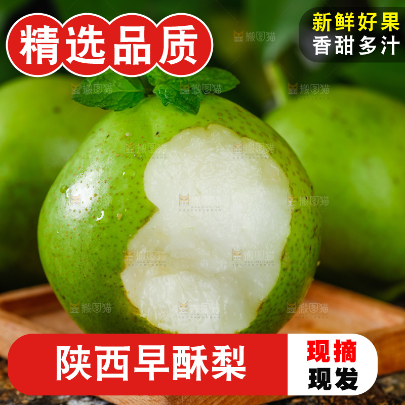 木底上放着陕西早酥梨