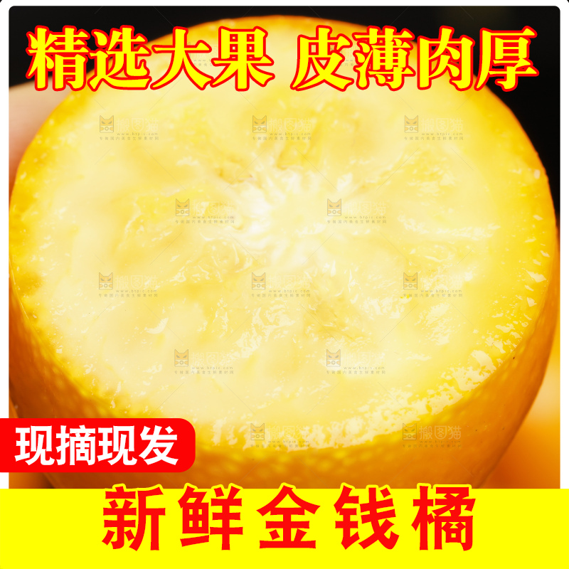 黑底上的小金桔