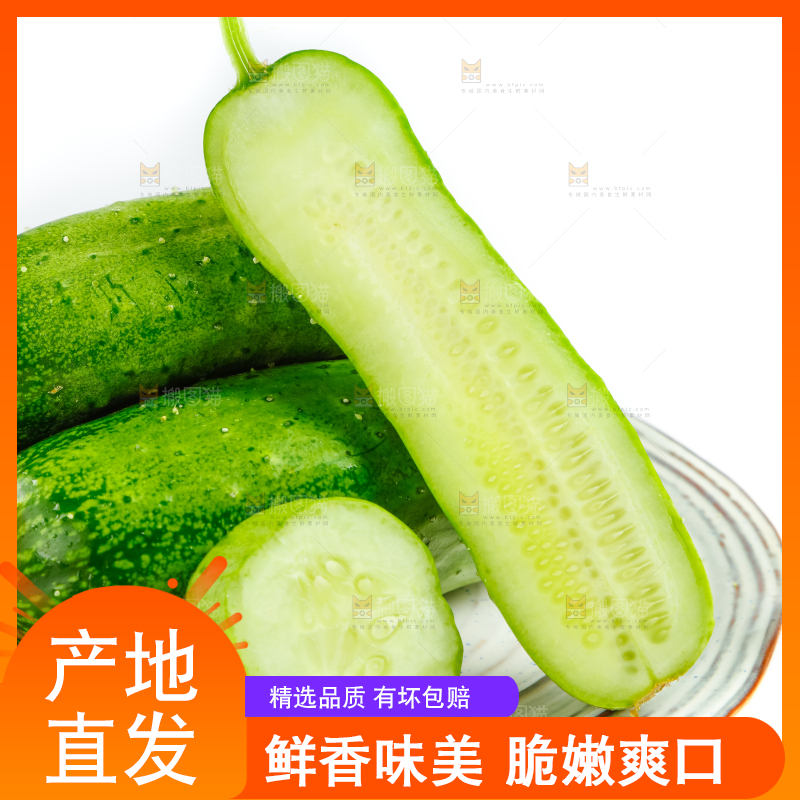 盘子里的东北旱黄瓜
