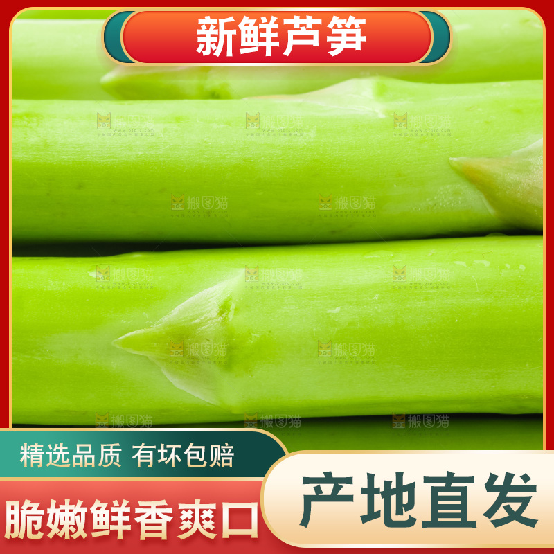 白底上的芦笋