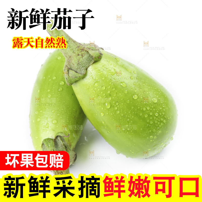 白底上放着青皮茄子