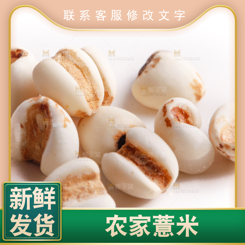 白底上的薏米