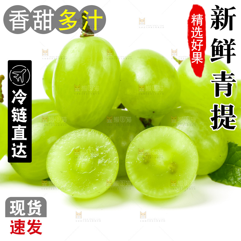 白底上的青提