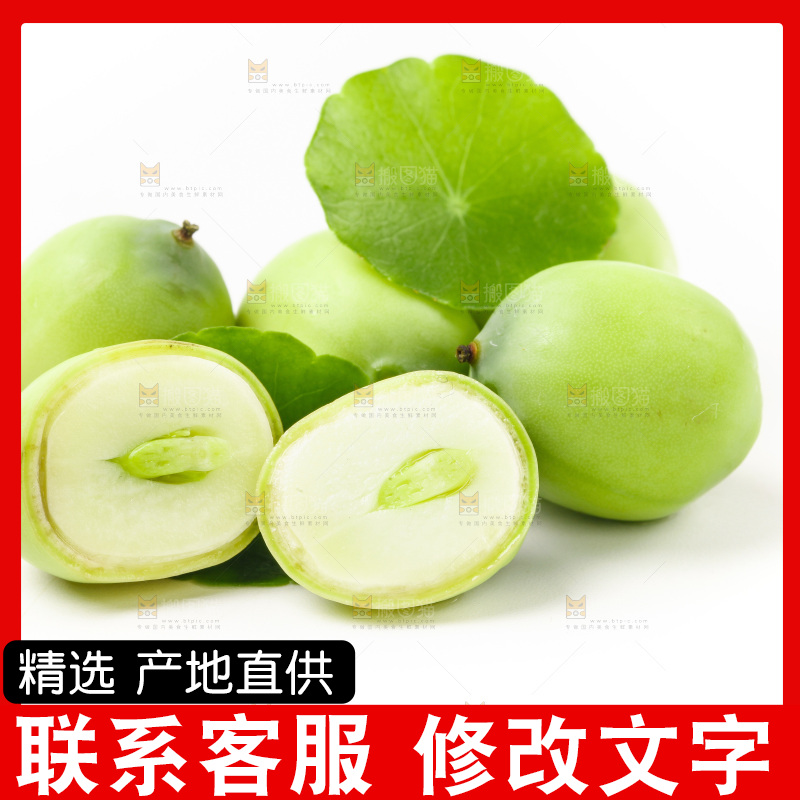 白底上放着湖北新鲜嫩莲子