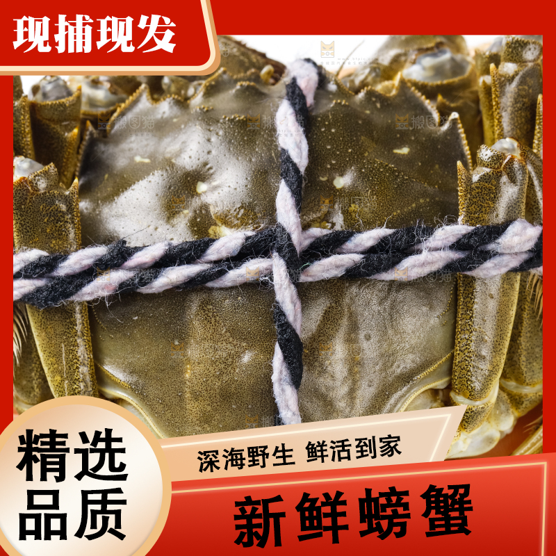 手里拿着鲜活螃蟹