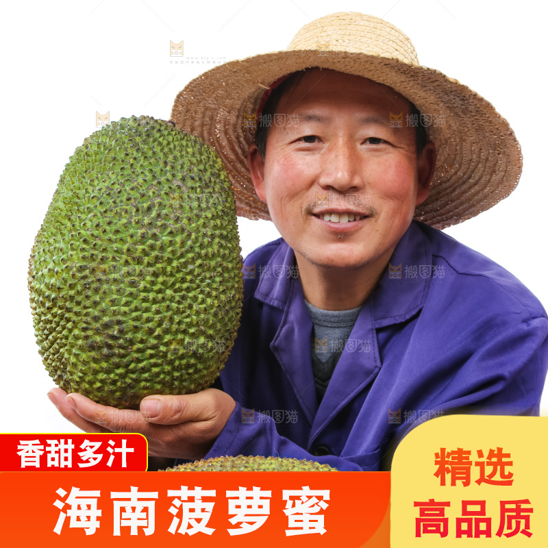 农民手里拿着菠萝蜜