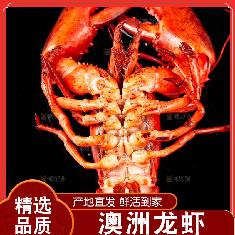 黑底上放着波士顿龙虾