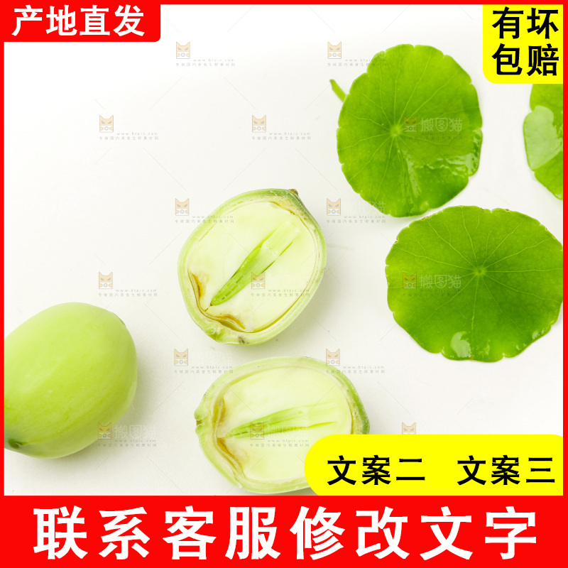 浅底上的新鲜莲子